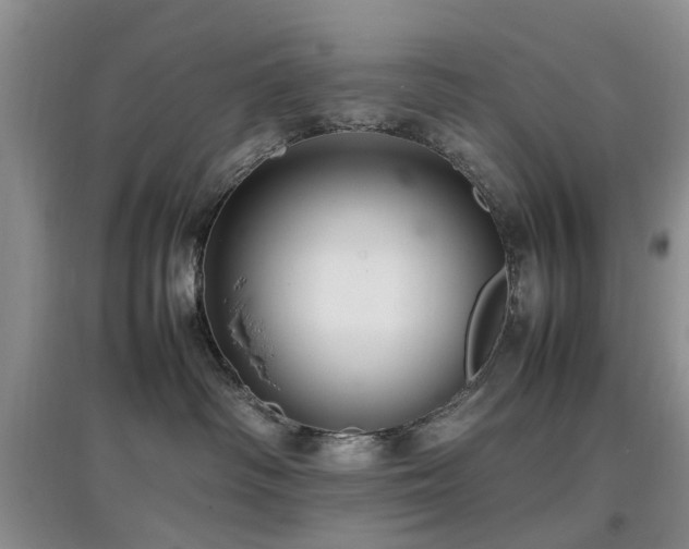 X0000097880334200803141325