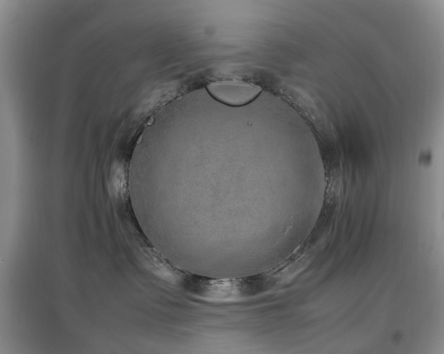 X0000097880335200803141325