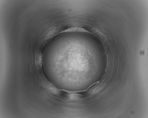 X0000097880336200803141325