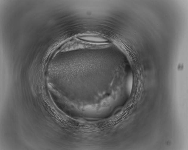 X0000097880337200803141324