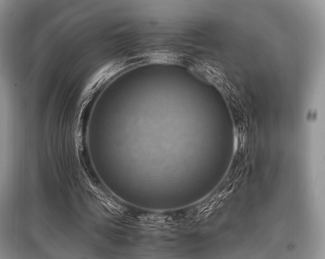 X0000097880339200803141324