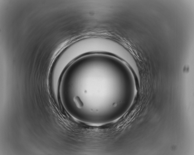 X0000097880340200803141324