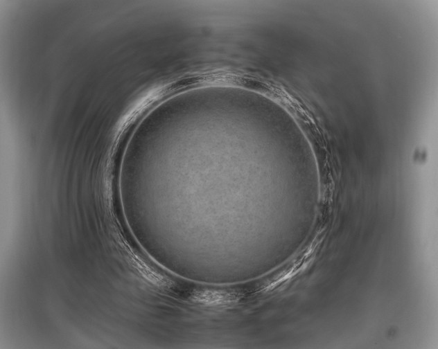 X0000097880341200803141324