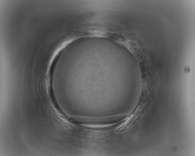 X0000097880342200803141324