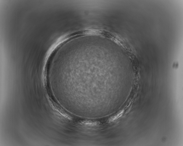 X0000097880343200803141324