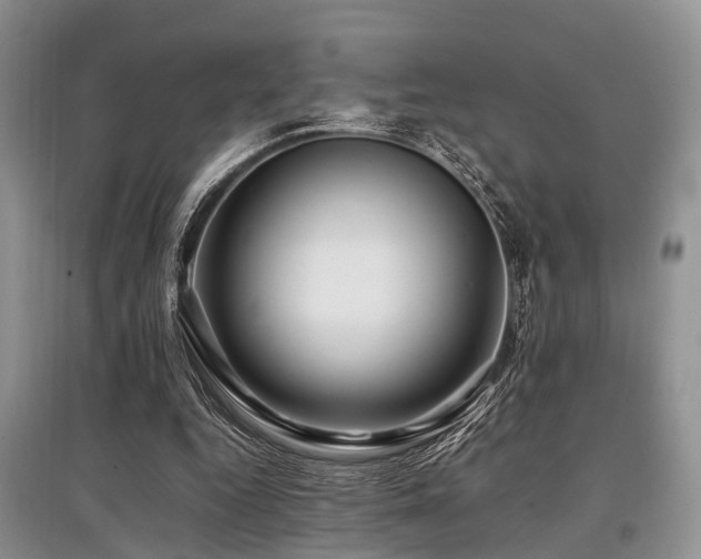 X0000097880344200803141324