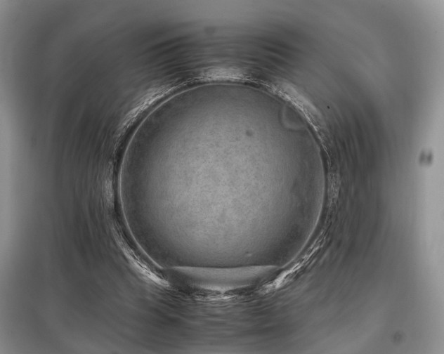 X0000097880345200803141324