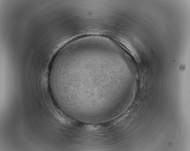 X0000097880346200803141324