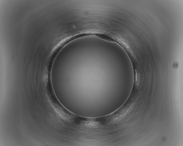 X0000097880348200803141324
