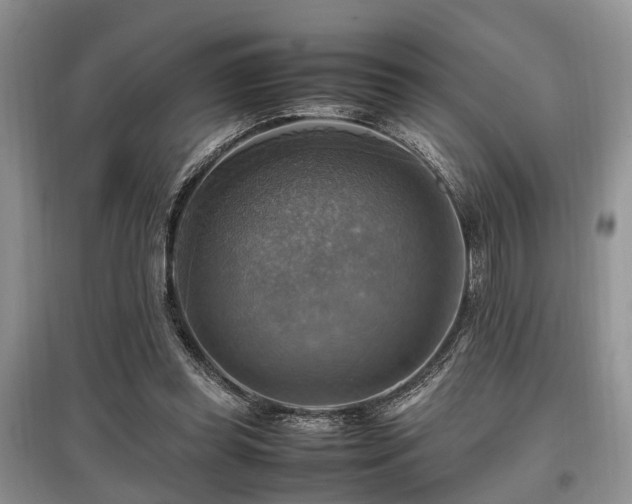 X0000097880349200803141324