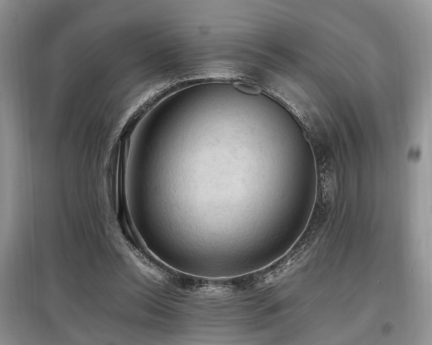 X0000097880350200803141324