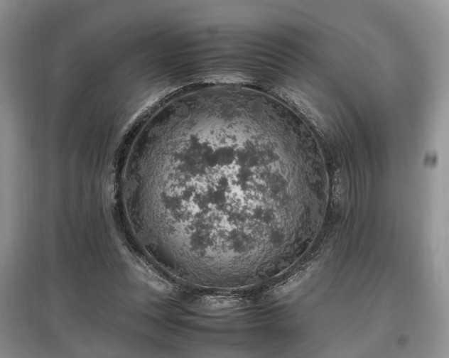 X0000097880351200803141324