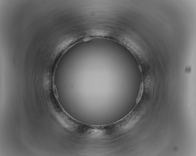 X0000097880352200803141324