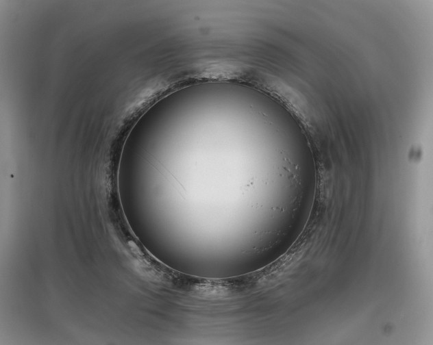X0000097880354200803141324