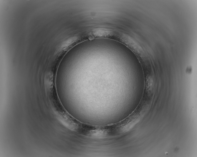 X0000097880356200803141325