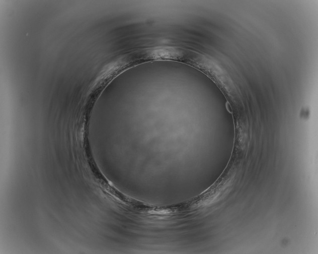 X0000097880357200803141325