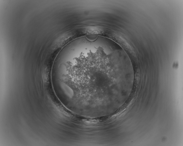 X0000097880359200803141325