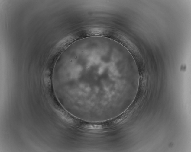 X0000097880361200803141325