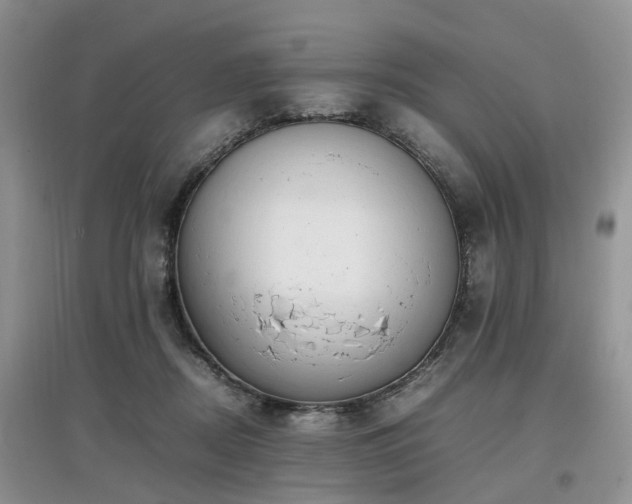 X0000097880362200803141325