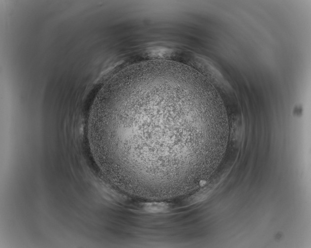 X0000097880363200803141325