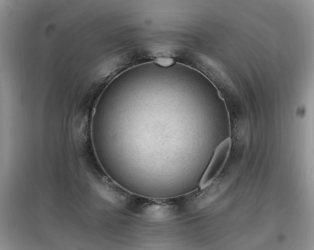 X0000097880364200803141325