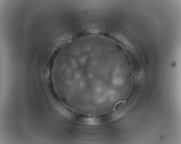 X0000097880365200803141325