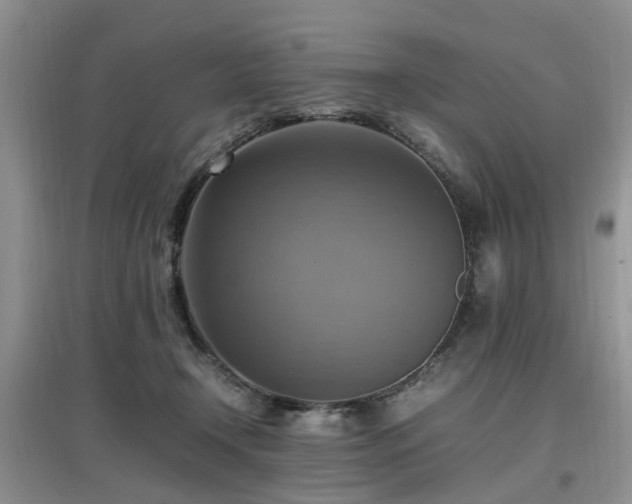 X0000097880366200803141325