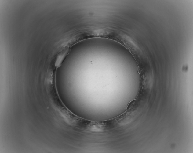X0000097880368200803141325