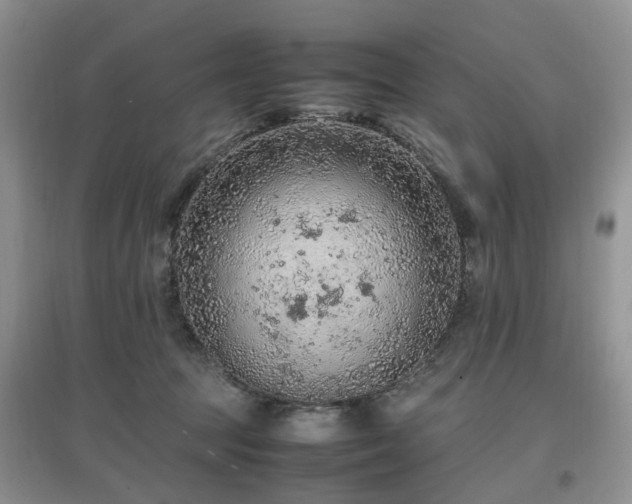 X0000097880369200803141325