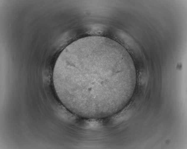 X0000097880370200803141325