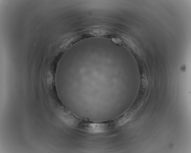 X0000097880371200803141325