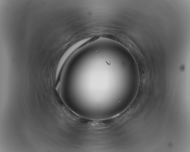 X0000097880372200803141325
