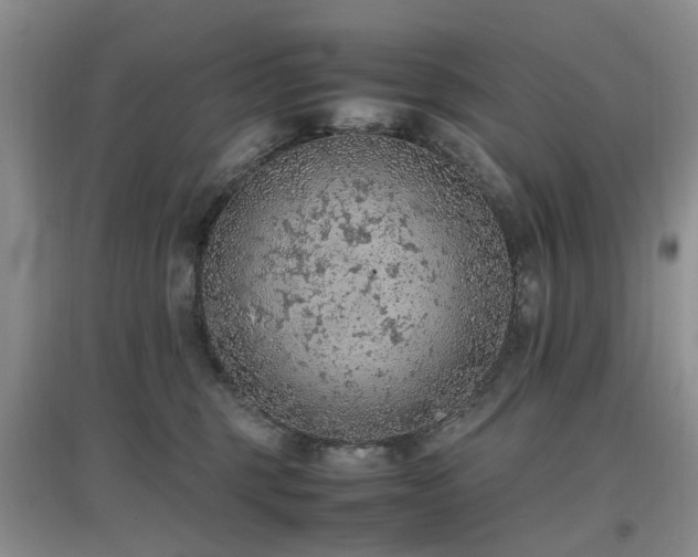 X0000097880375200803141325