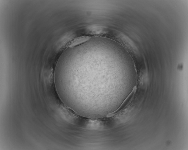 X0000097880376200803141325