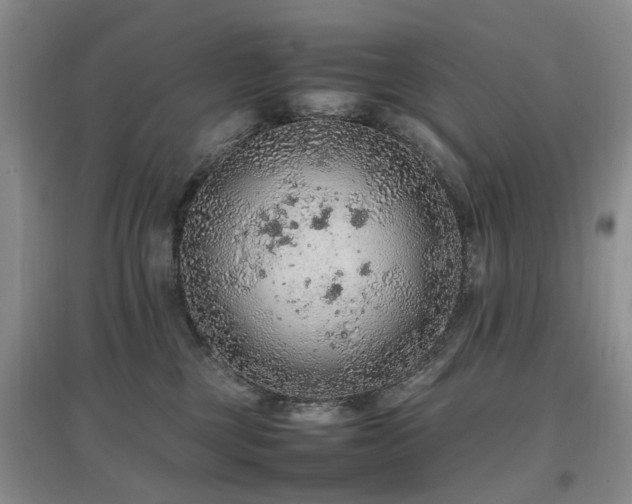 X0000097880377200803141325