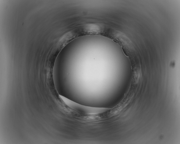 X0000097880379200803141325