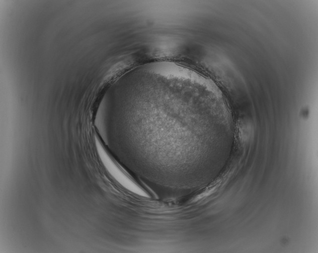 X0000097880380200803141325