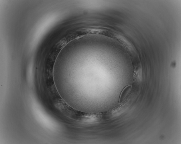 X0000097880381200803141325