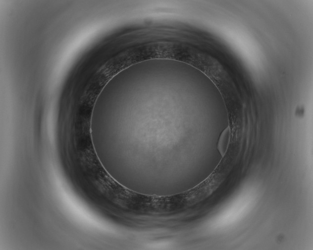X0000097880383200803141325