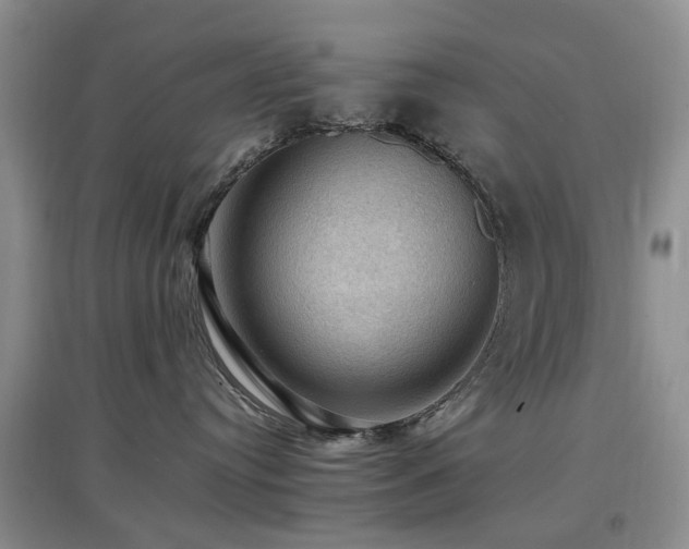 X0000097880384200803141325