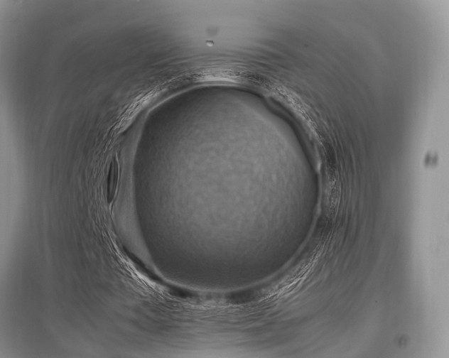 X0000097880385200803141324
