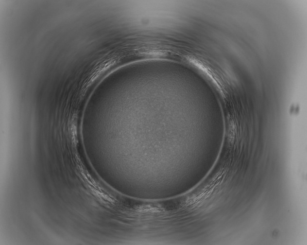 X0000097880386200803141324