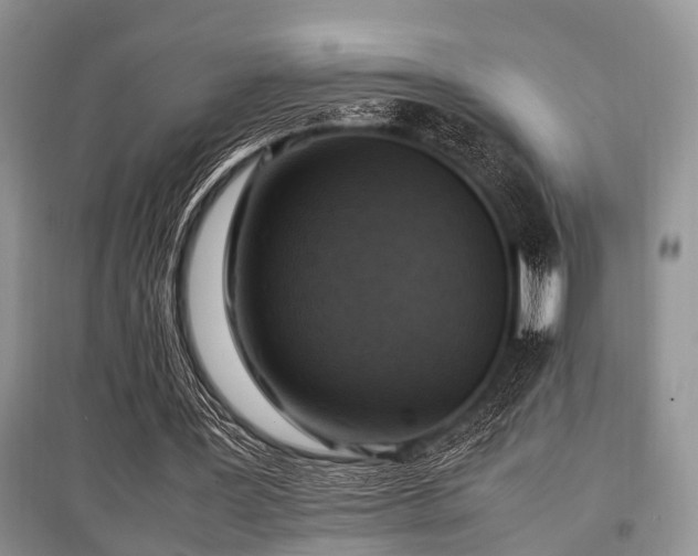 X0000097880387200803141324