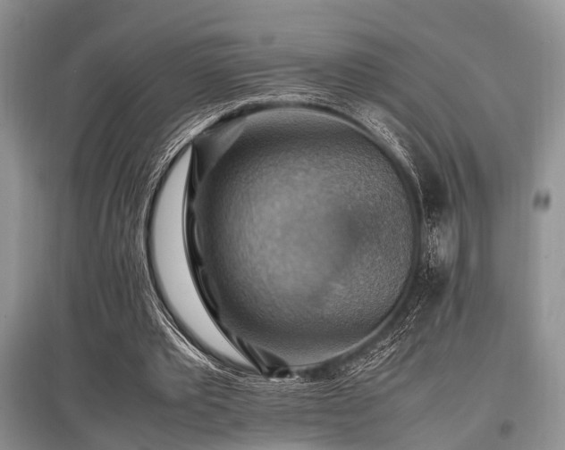 X0000097880389200803141324
