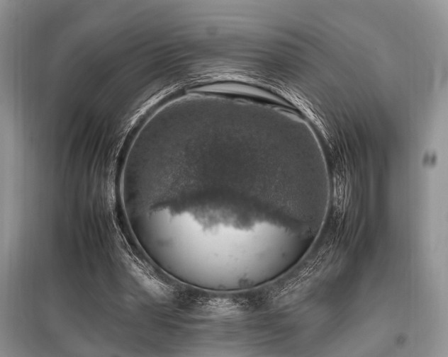 X0000097880390200803141324