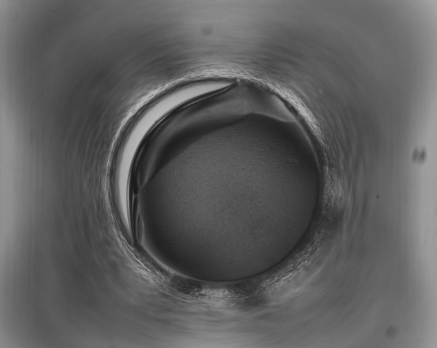 X0000097880391200803141324