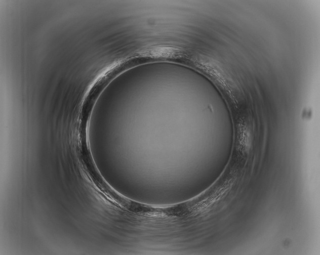 X0000097880392200803141324