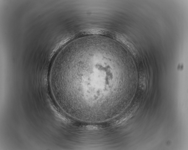 X0000097880394200803141324