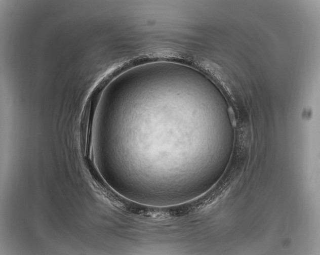 X0000097880395200803141324