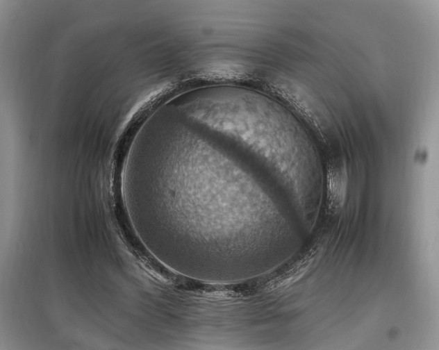 X0000097880396200803141324